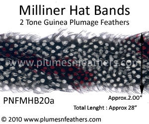 Hat Band '20a'