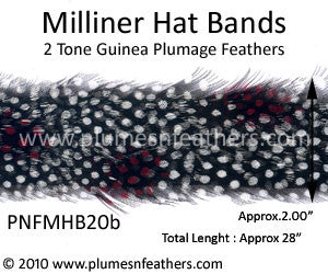 Hat Band '20b'
