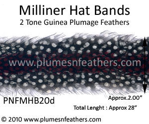 Hat Band '20d'