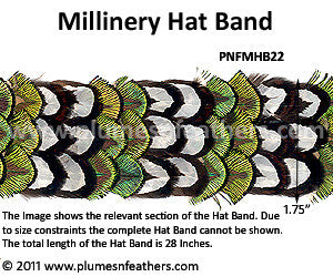 Hat Band '22'