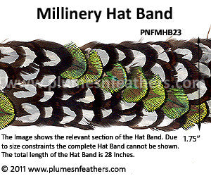 Hat Band '23'