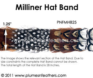 Hat Band '25'