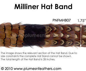 Hat Band '7'