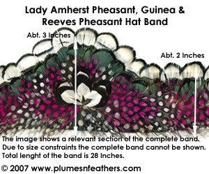 Hat Band '8'