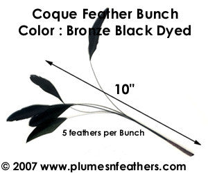 Coque Feather 5 Piece Bunch 10"