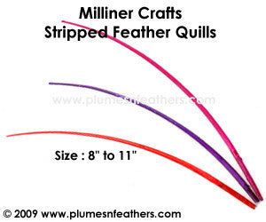 Feather Spikes 10"/12"