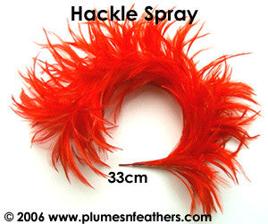 Stripped Hackle Spray 13"