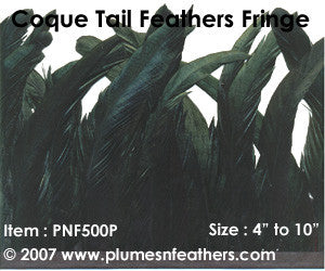Coque Tail Fringe 9" Iri.Black