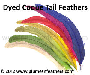 Coque Tail Bleached Dyed 10 Pcs.