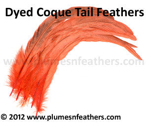 Coque Tail Bleached Dyed 14”/16” 10 Pcs.