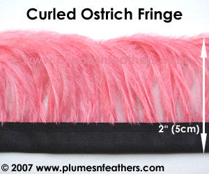 Ostrich Feather Fringe Curled
