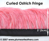 Ostrich Feather Fringe Curled