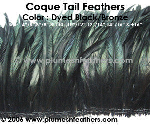Dyed Black Strung Coque Tails 12"/14" ½ Oz. Pack
