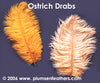 Dyed Ostrich Drab Feather 8"/10"