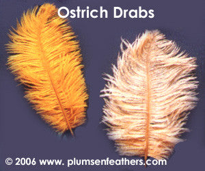 Dyed Ostrich Drab Feather 16"/19"