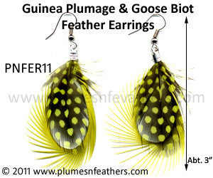 Feather Earrings PNFER11