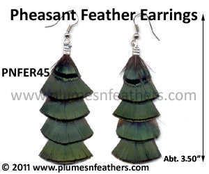 Feather Earrings PNFER45