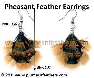 Feather Earrings PNFER66