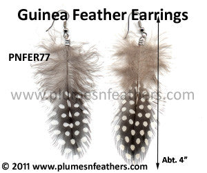 Feather Earrings PNFER77