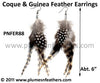 Feather Earrings PNFER88