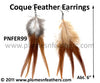 Feather Earrings PNFER99