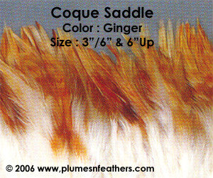 Natural Strung Ginger Saddle Feathers +5" ½ Oz.