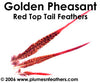 Golden Nat. "Redtop" Tail 8"/10"