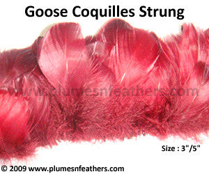 Goose Coquille Strung Dyed ½ Oz.