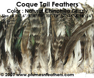 Grey Chinchilla Strung Coque Tails 8"/10" ½ Oz. Pack