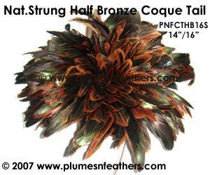 Half Bronze Strung Coque Tails 14"/16" ½ Oz. Pack
