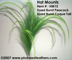 Hat Mount HM '15'