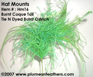 Hat Mount HM '16'
