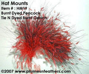 Hat Mount HM '19'