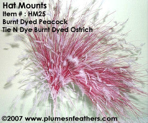Hat Mount HM '25'