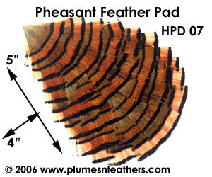 Hat Pad HPD '7'