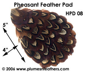 Hat Pad HPD '8'
