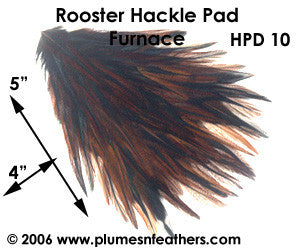 Hat Pad HPD '10'