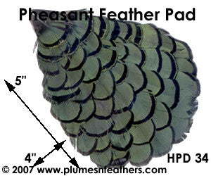 Hat Pad HPD '34'