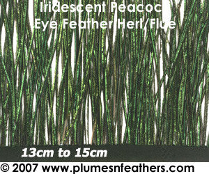 Peacock Herl Fringe 9"