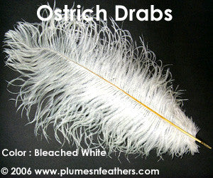 Bleached White Drabs 19"/23"