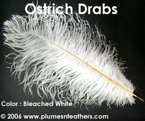 Bleached White Drabs 8"/10"