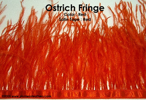 Ostrich Fringe 2 Ply