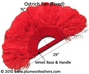Fixed Ostrich Fan