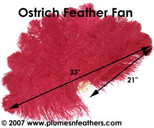 Ostrich Fan 21"