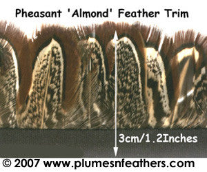 PH15 Pheasant Ringneck Fringe 1.25"