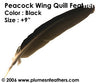 Peacock Black Wing Quills 9"/14"