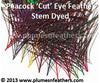 Stem Dyed Peacock Eye Only (Cutmoon) 12"