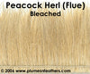 Peacock Herl (Flue) Bleached Strung 4"/6"