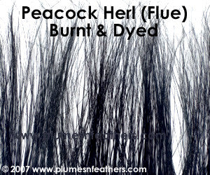 Peacock Herl (Flue) Burnt Dyed Strung 10"/12"