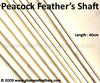 Stripped Peacock Feather Shaft 5.5